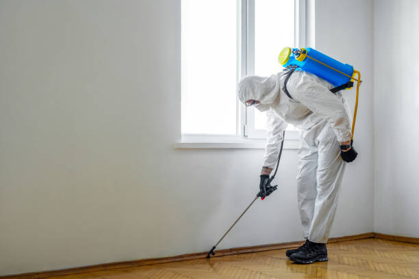 Best Cockroach Control Services  in Warren, MI