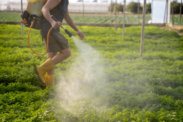 Best Local Pest Control Services  in Warren, MI