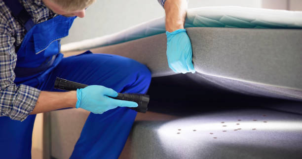 Best Local Pest Control Services  in Warren, MI