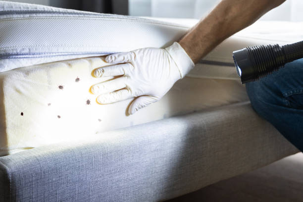 Wildlife Control Services in Warren, MI