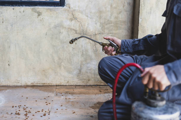 Best Exterminator Services  in Warren, MI